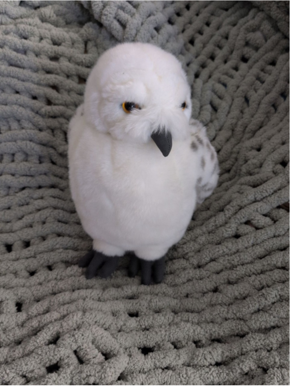 Harry Potter Hedwig Plush Owl - Universal Studios Theme Park Exclusive